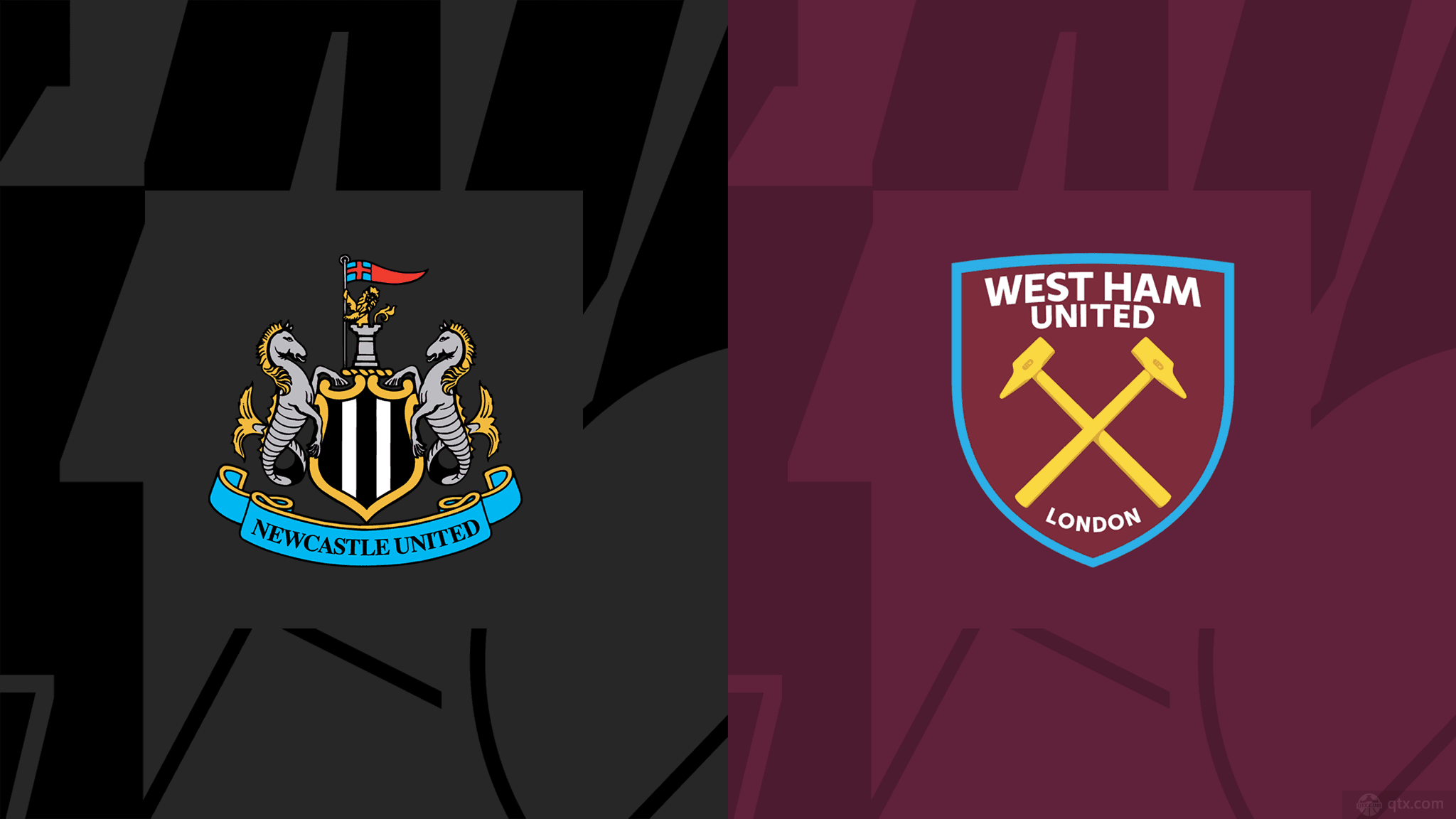 的队友们从 的队友们从